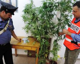ARRESTATO CON 8 CHILI DI HASHISH, L’AQUILANO RIGETTA OGNI ACCUSA