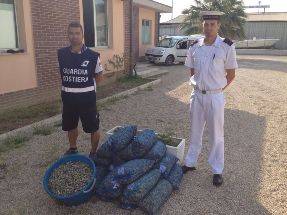 PESCARA: SEQUESTRATI 13 QUINTALI DI VONGOLE ILLEGALI
