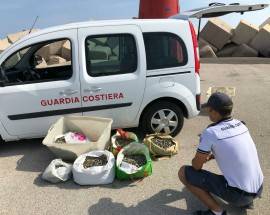PESCA: CONTROLLI GUARDIA COSTIERA, SEQUESTRI E SANZIONI