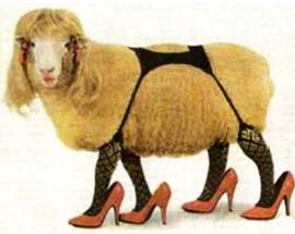 SESSO CON ANIMALI, IN DANIMARCA SCATTA IL DIVIETO PER LEGGE