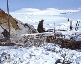 RACCONTO SHOCK: DUE DISPERSI IN SIBERIA MANGIANO AMICO PER SOPRAVVIVERE