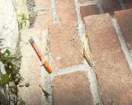 L’AQUILA: TROVATA SIRINGA IN CENTRO, STUDENTE FUORI SEDE DENUNCIA E LA FA RIMUOVERE