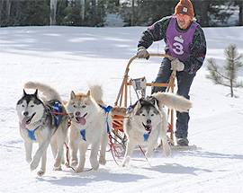 SLEDDOG: A CAMPO FELICE L”’EUROCUP” CON 16 NAZIONI PARTECIPANTI