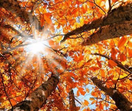 MERCURIO DAVANTI AL SOLE: EVENTO RARO, STUDENTI ALL’OSSERVATORIO DI TERAMO
