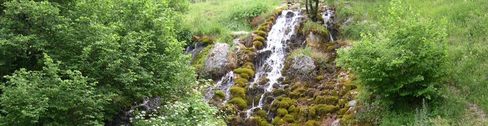 ACQUA CANISTRO: PUBBLICATO BANDO, SUPER SCONTO PER RIASSUNZIONE 53 ADDETTI