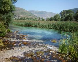 AMBIENTE: ”NOTTE VERDE” WWF, IL 2 AGOSTO VISITE A CINQUE OASI