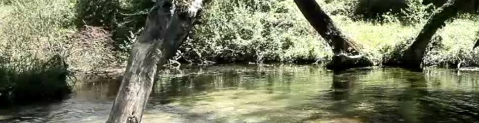 CONSIGLIO REGIONE: VIA LIBERA ALLA RISERVA NATURALE SORGENTI DEL VERA