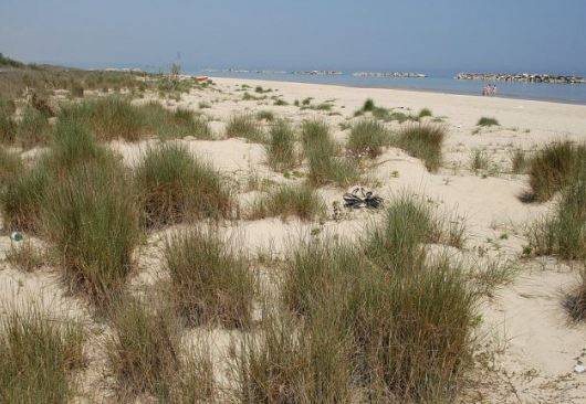 ORTONA: WWF E LAGAMBIENTE FANNO RICORSO CONTRO CONCESSSIONI SPIAGGE