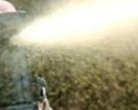MONTESILVANO: LITE IN AUTOBUS, TRANS SPRUZZANO SPRAY URTICANTE