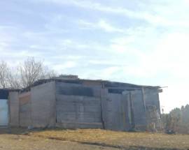 STALLE ABUSIVE PER CAVALLI: SOPRALLUOGO A PESCARA