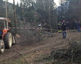 OPERAIO SCHIACCIATO DALL’ALBERO: CONDANNATO IMPRENDITORE