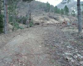 STRADE IMPRATICABILI: USI CIVICI E ASM RIPULIRANNO, TENSIONE CAPRI-CORRIERE