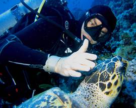 SUBACQUEI: L’AQUILA DIVING CENTER, OLTRE DUECENTO APPASSIONATI