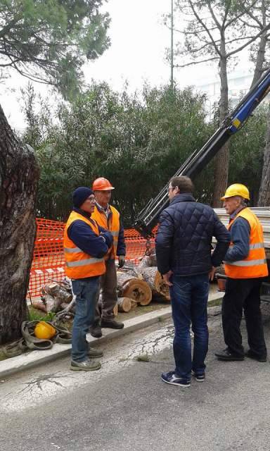 PESCARA: CONFCOMMERCIO, ”RIPERCUSSIONI NEGATIVE DA TAGLIO ALBERI”