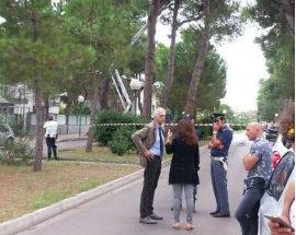 DOPO IL TAGLIO DEGLI ALBERI PRONTO PIANO PER 800 POTATURE A PESCARA