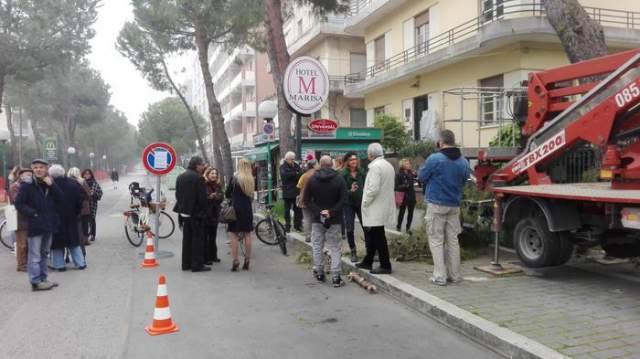 PESCARA INSORGE CONTRO TAGLIO ALBERI, ED E’ GUERRA COMUNE-SOPRINTENDENZA