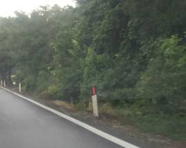 L’AQUILA: ”TAGLIO ALBERI SECOLARI SULLA SS17”, CITTADINI INFURIATI, ”PERCHE’?”