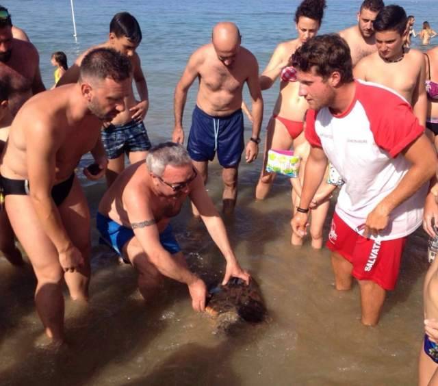 TARTARUGA MARINA MUORE IN SPIAGGIA A SILVI, E’ LA SESTA IN POCHI GIORNI IN ABRUZZO