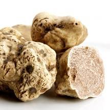 TARTUFO SCORSONE: AL VIA STAGIONE, PEPE ”INVARIATO CALENDARIO ESTIVO”