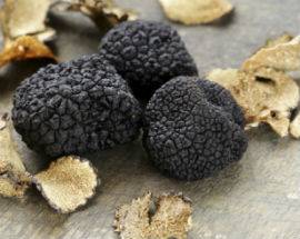 SANTE MARIE ENTRA A FAR PARTE DELLE ”CITTA’ DEL TARTUFO”