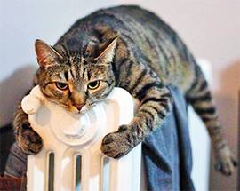 L’AQUILA: ARRIVA IL FREDDO, VIA ALL’ACCENSIONE DEI TERMOSIFONI