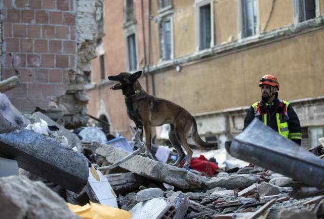 TERREMOTO: BOSCHI, ”ALTO RISCHIO DI UNA SECONDA FORTE SCOSSA”