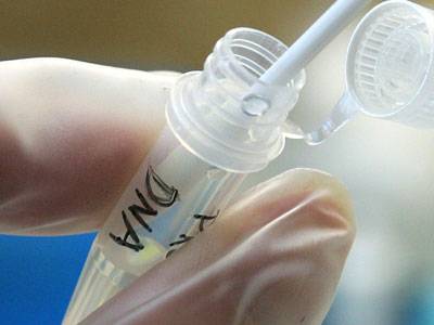 CADAVERE SMEMBRATO IN A14, ATTESI RISULTATI SU TEST DNA