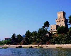 PINETO:  TORRE CERRANO, ALLA SCOPERTA DEI RESTI MARINI
