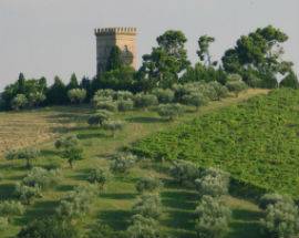 VISITA GUIDATA ALLA TORRE DE STERLICH GIOIELLO ARCHITETTONICO SUI COLLI DI SPOLTORE