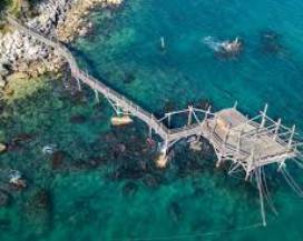 GOVERNO IMPUGNA LEGGE TRABOCCHI: WWF, ”DECISIONE SACROSANTA”