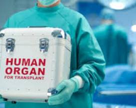 TRAPIANTI: MESSA A PUNTO MACCHINA CHE TIENE IN VITA FEGATO PER UNA SETTIMANA
