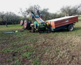 MUORE SCHIACCIATO DAL TRATTORE A LETTOPALENA, FERITO IL FIGLIO