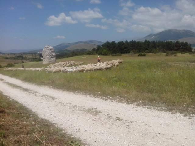 ”TRATTURI E CAMMINI”: INCONTRO TRA ESPERTI DI TURISMO E BLOGGER