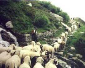 UN ”TRATTURO CICLABILE” SU ORME DEI PASTORI PER COLLEGARE ABRUZZO E PUGLIA