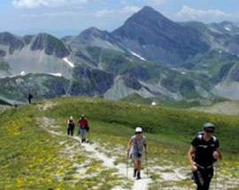FASE DUE, LINEE GUIDA PER TERME E PROFESSIONI MONTAGNA