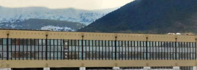 OPERAIO ALBANESE SBRANATO DAI CANI, PARENTI CHIEDONO 1,3 MILIONI