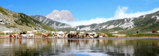 TURISMO ITINERANTE: CONSIGLIO REGIONALE APPROVA LEGGE