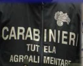 CONTROLLI SU PRODOTTI ALIMENTARI ETNICI: SEQUESTRI IN TUTTA ITALIA, CHIUSA ATTIVITA’