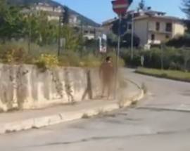 L’AQUILA: NUDO E IN STATO CONFUSIONALE PER STRADA, POLIZIA FERMA UOMO A PETTINO