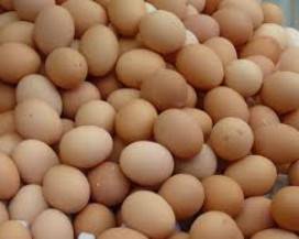 RISCHIO SALMONELLA: MINISTERO RICHIAMA LOTTO DI AZIENDA MARSICANA