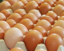 PESCARA: COMPRA UOVA RICOPERTE DI LARVE IN SUPERMERCATO