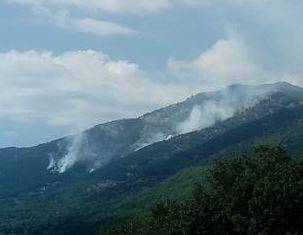 PARCO NAZIONALE: DOMATO SUL NASCERE INCENDIO NELLA VAL FONDILLO