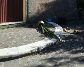 MONTESILVANO: VANDALI IN CHIESA DI SAN MICHELE ARCANGELO