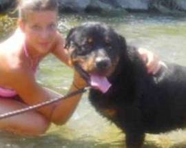 POLEMICHE SULLA VELINA BIONDA: ”HO FATTO UCCIDERE IL MIO CANE”