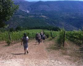”VIE E CIVILTA’ DELLA TRANSUMANZA”: IN ARRIVO GUIDE SUI TRATTURI
