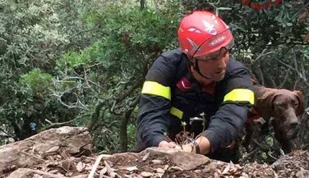 CANE CADUTO IN UN BURRONE SALVATO DAI VIGILI DEL FUOCO