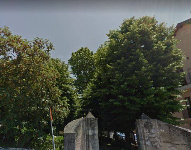 PAGANICA: IL 25 AL VIA IL TAGLIO ALBERI PERICOLOSI ALLA VILLA COMUNALE