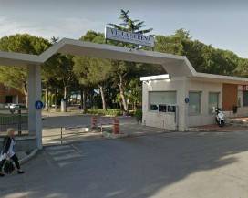 INCENDIO VILLA SERENA: CASTALDI (M5S), ”INTERROGAZIONE A MINISTRO GRILLO”
