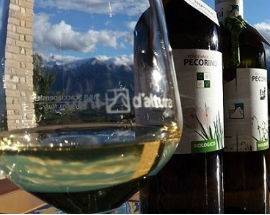 SELEZIONE DI VINI ABRUZZESI INVECCHIATI AD ALTA QUOTA SUL GRAN SASSO