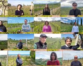 COVID: ”LA VITE NON SI ARRENDE, CAMPAGNA PRODUTTORI VINO TERAMO
